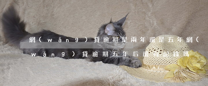 網(wǎng)貸逾期是兩年還是五年(網(wǎng)貸逾期五年后還有記錄嗎)