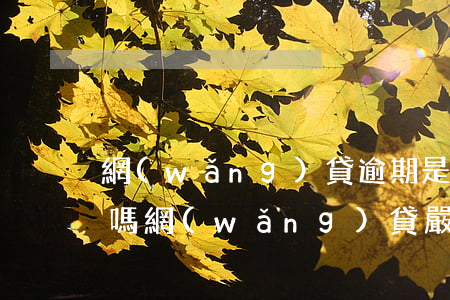 網(wǎng)貸逾期是刑事責(zé)任嗎(網(wǎng)貸嚴(yán)重逾期會(huì)承擔(dān)法律責(zé)任嗎)
