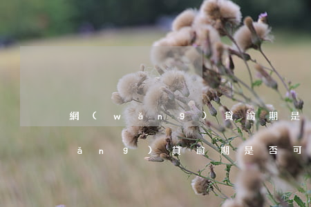 網(wǎng)貸逾期是否可以分期(網(wǎng)貸逾期是否可以分期)