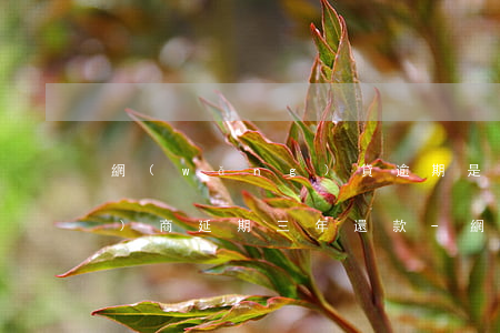 網(wǎng)貸逾期是否可以協(xié)商延期三年還款-網(wǎng)貸逾期是否可以協(xié)商延期三年還款呢