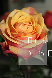 網(wǎng)貸逾期是失信被執(zhí)行嗎(網(wǎng)貸逾期算失信人員嗎)