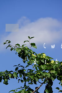 網(wǎng)貸逾期是孩子不能上重點(diǎn)學(xué)校嗎-網(wǎng)貸逾期小孩子能上學(xué)嗎