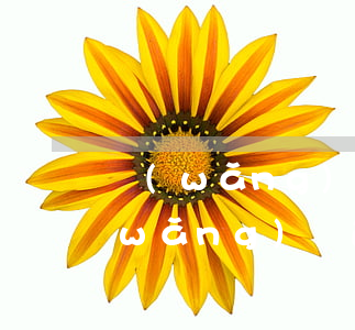 網(wǎng)貸逾期是屬于什么案件(網(wǎng)貸逾期違法嗎)
