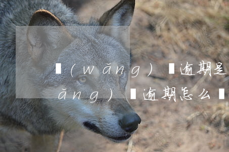 網(wǎng)貸逾期是怎么熬過來(網(wǎng)貸逾期怎么處理比較好)