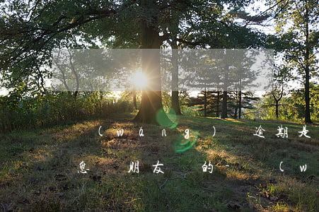 網(wǎng)貸逾期是怎么發(fā)信息給朋友們的-網(wǎng)貸逾期是怎么發(fā)信息給朋友們的呢