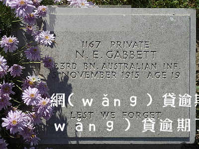 網(wǎng)貸逾期是怎樣扛過來的(網(wǎng)貸逾期了怎么辦)
