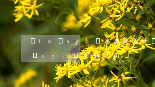 網(wǎng)貸逾期是最好辦法嗎(網(wǎng)貸逾期可怕嗎)