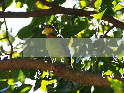 網(wǎng)貸逾期是法院還是派出所給你打電話-網(wǎng)貸逾期是法院還是派出所給你打電話的