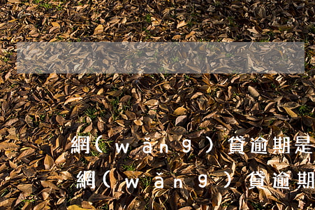 網(wǎng)貸逾期是第三方起訴法院嗎(網(wǎng)貸逾期3個月是不是真的會起訴)