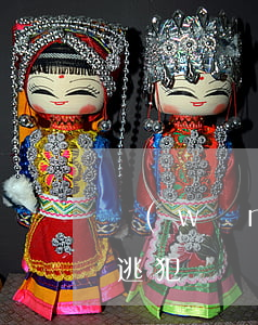 網(wǎng)貸逾期是網(wǎng)上逃犯嗎(網(wǎng)貸逾期在逃人員)