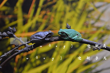 網(wǎng)貸逾期是起訴個人還是(網(wǎng)貸逾期多久會被起訴會有什么后果)