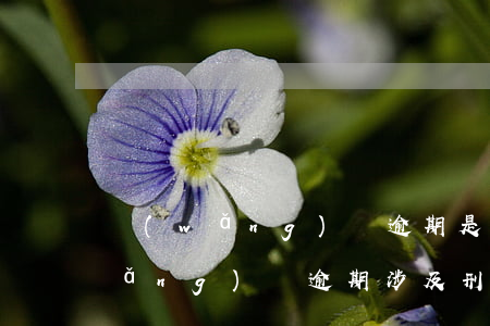 網(wǎng)貸逾期是非法占有嗎(網(wǎng)貸逾期涉及刑事嗎)