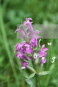 網(wǎng)貸逾期是非法集資嗎(網(wǎng)貸逾期凍結(jié)資金是真的嗎)