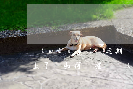 網(wǎng)貸逾期暫時(shí)還不上了該如何處理-網(wǎng)貸逾期暫時(shí)還不上怎么辦