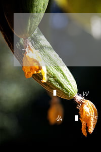 網(wǎng)貸逾期暫時沒有資金來源怎么辦-網(wǎng)貸逾期暫時沒有資金來源怎么辦呢