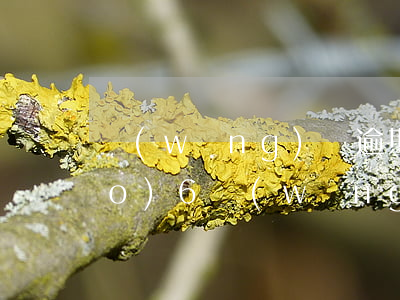 網(wǎng)貸逾期暴力催收舉報(bào)6(網(wǎng)貸逾期被惡意催收怎么舉報(bào))