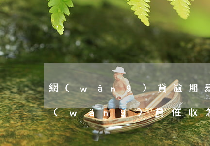 網(wǎng)貸逾期暴力崔收怎么辦(被網(wǎng)貸催收怎么辦)