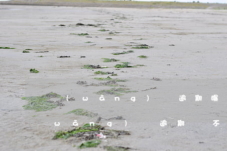 網(wǎng)貸逾期曝通訊錄說什么(網(wǎng)貸逾期會不會爆通訊錄)