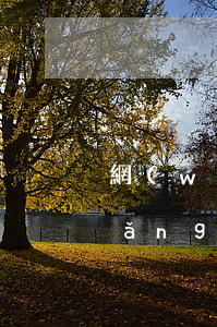 網(wǎng)貸逾期最可怕的恐懼(網(wǎng)貸逾期最可怕的恐懼)