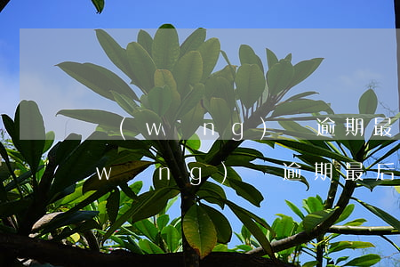 網(wǎng)貸逾期最后又還了征信(網(wǎng)貸逾期最后又還了征信)