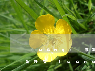 網(wǎng)貸逾期最壞結(jié)果是什么(網(wǎng)貸逾期嚴(yán)重嗎)