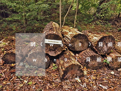 網(wǎng)貸逾期最好辦的信用卡(網(wǎng)貸逾期能不能辦信用卡)