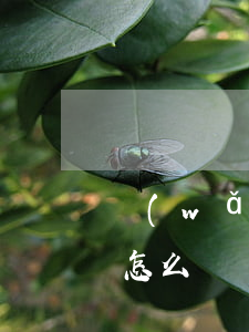 網(wǎng)貸逾期最終協(xié)商怎么辦(網(wǎng)貸逾期協(xié)商還款不同意怎么辦)