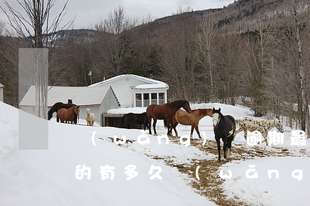 網(wǎng)貸逾期最長(zhǎng)的有多久(網(wǎng)貸逾期多久算嚴(yán)重啊)