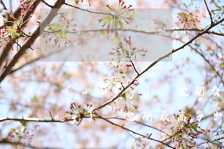 網(wǎng)貸逾期最高多少天(網(wǎng)貸逾期最高多少天還款)