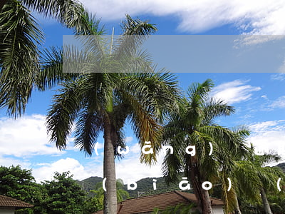 網(wǎng)貸逾期最高收費(fèi)標(biāo)準(zhǔn)