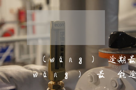 網(wǎng)貸逾期最高費用是多少(網(wǎng)貸最長能逾期多久)
