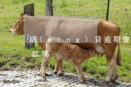 網(wǎng)貸逾期會(huì)一直扣款嗎