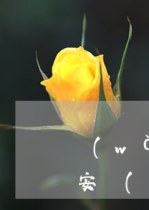 網(wǎng)貸逾期會(huì)上傳公安網(wǎng)嗎(網(wǎng)貸逾期不還會(huì)被公安局抓嗎)