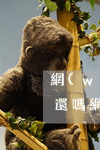 網(wǎng)貸逾期會(huì)上門催還嗎(網(wǎng)貸逾期會(huì)上門催還嗎)