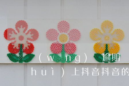 網(wǎng)貸逾期會(huì)不會(huì)上抖音(抖音的網(wǎng)貸平臺(tái)是真的嗎)
