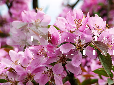 網(wǎng)貸逾期會(huì)不會(huì)上門殺人(網(wǎng)貸逾期會(huì)有人上門催收嗎)