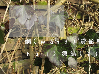 網(wǎng)貸逾期會(huì)不會(huì)凍結(jié)你所有銀行卡-網(wǎng)貸逾期會(huì)不會(huì)凍結(jié)你所有銀行卡的錢