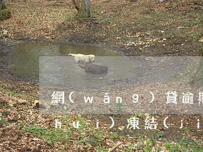 網(wǎng)貸逾期會(huì)不會(huì)凍結(jié)名下的銀行卡-網(wǎng)貸逾期會(huì)不會(huì)凍結(jié)名下銀行卡賬戶(hù)