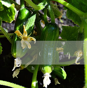網(wǎng)貸逾期會(huì)不會(huì)凍結(jié)本人其他信用卡（信用卡逾期會(huì)凍結(jié)其他借記卡嗎）