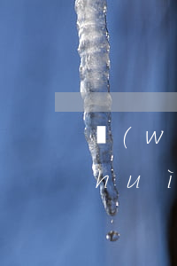 網(wǎng)貸逾期會(huì)不會(huì)去老家