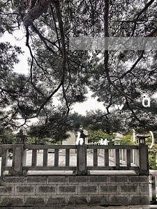 網(wǎng)貸逾期會(huì)不會(huì)失信名單（網(wǎng)貸逾期被限制高消費(fèi)失信被執(zhí)行人怎么查）