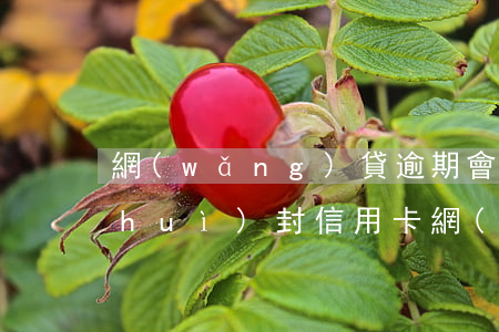 網(wǎng)貸逾期會(huì)不會(huì)封信用卡(網(wǎng)貸逾期會(huì)封銀行卡嗎)