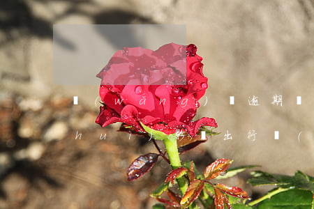 網(wǎng)貸逾期會(huì)不會(huì)影響出行(網(wǎng)貸逾期出行受影響嗎)