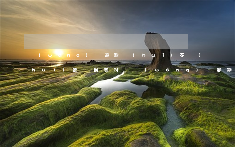 網(wǎng)貸逾期會(huì)不會(huì)影響到支付寶(網(wǎng)貸逾期會(huì)不會(huì)影響到支付寶借唄嗎)