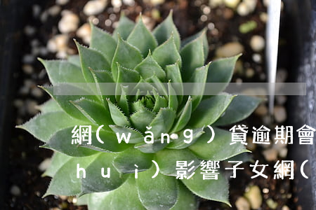 網(wǎng)貸逾期會(huì)不會(huì)影響子女(網(wǎng)貸逾期會(huì)不會(huì)影響子女當(dāng)兵)