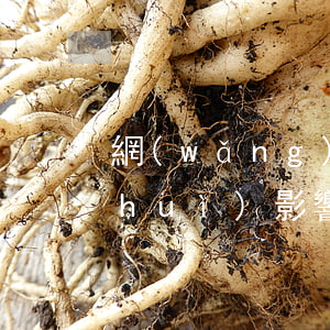 網(wǎng)貸逾期會(huì)不會(huì)影響銀行貸款審核-網(wǎng)貸逾期會(huì)不會(huì)影響銀行貸款審核呢