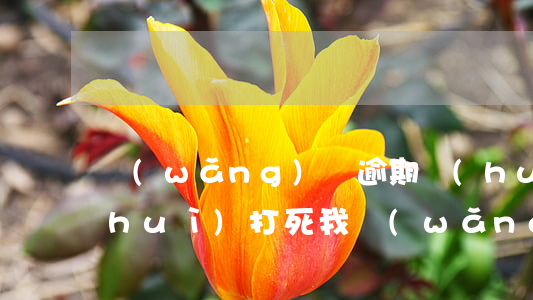 網(wǎng)貸逾期會(huì)不會(huì)打死我(網(wǎng)貸逾期吧)