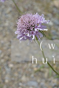 網(wǎng)貸逾期會(huì)不會(huì)找到我(網(wǎng)貸逾期了)