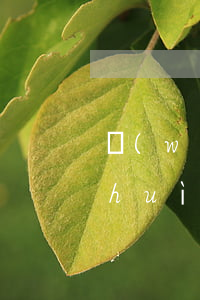 網(wǎng)貸逾期會(huì)不會(huì)瘋狂打通訊錄電話-網(wǎng)貸逾期會(huì)不會(huì)瘋狂打通訊錄電話呢