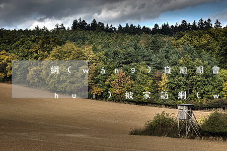 網(wǎng)貸逾期會(huì)不會(huì)被家訪(網(wǎng)貸逾期騷擾家人)